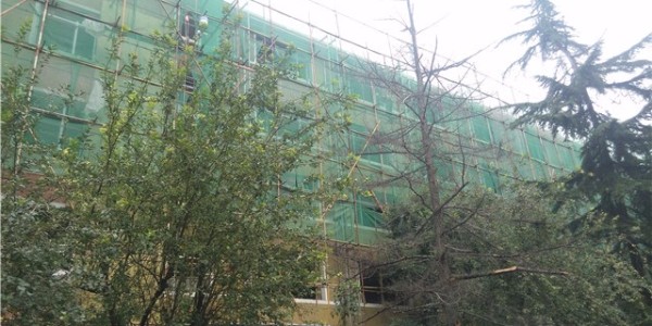 博贏建筑——學校外墻翻新質感涂料案例